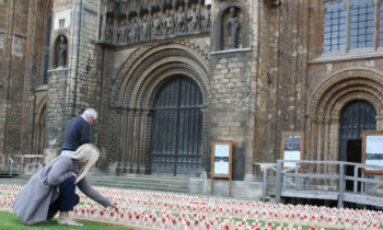 Lincoln Cathedral News - Cathedral garden commemorates the Battle of the Somme