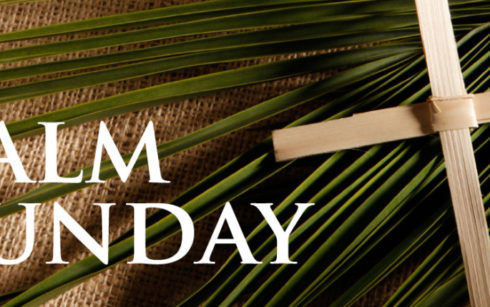 Lincoln Cathedral Events - Palm Sunday