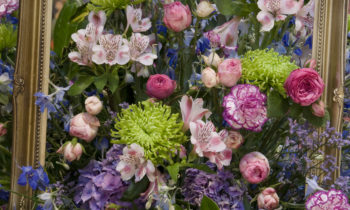 Lincoln Cathedral News - Looking forward to a blooming spectacular event