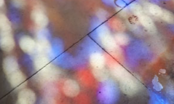 Lincoln Cathedral News - September photography competition