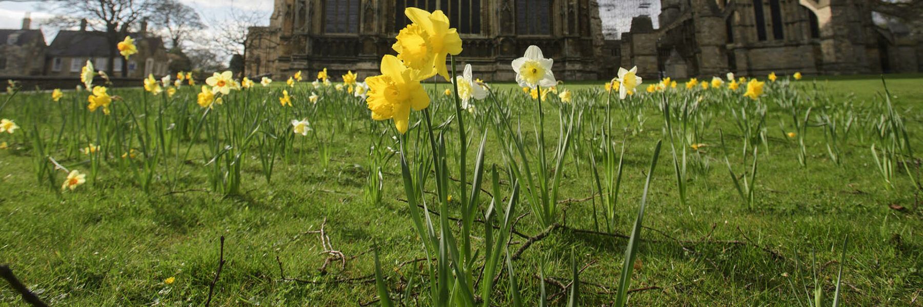 Our World - God's Creation | Lincoln Cathedral