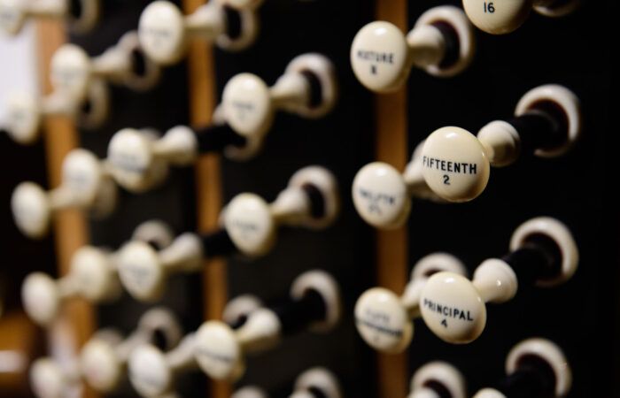 Organ stops